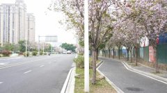 多次组织专题座谈和方案